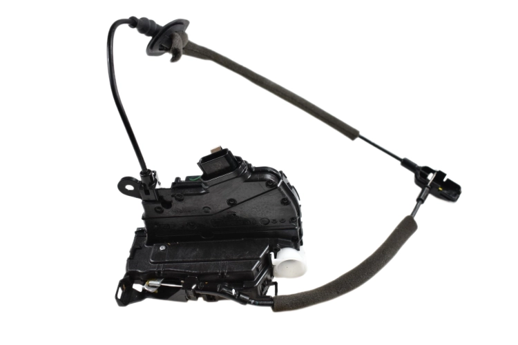 DSC_0001 (10).png