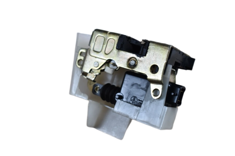 DSC_0008 (2).png