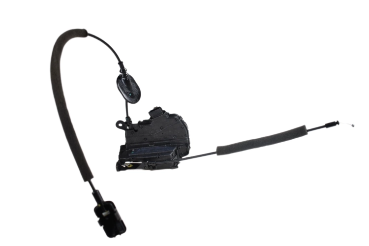 DSC_0001 (27).png
