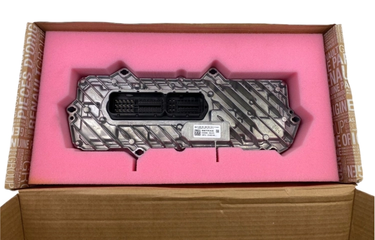310321149R (3).png