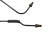 DSC_0016 (1).png