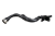 DSC_0010 (11).png