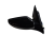 DSC_0015 (4).png