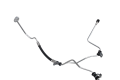 DSC_0016 (17).png