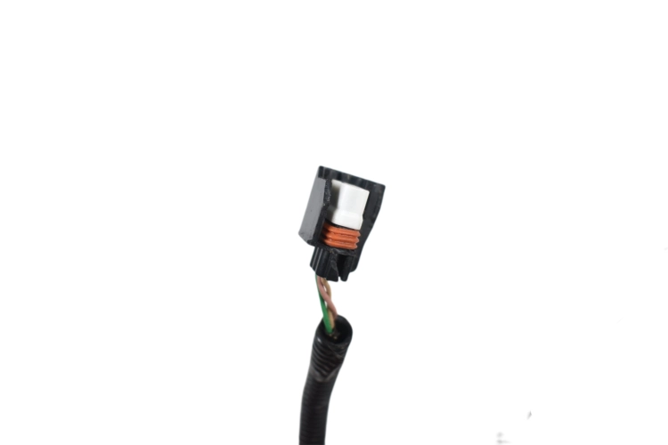 DSC_0016 (19).png