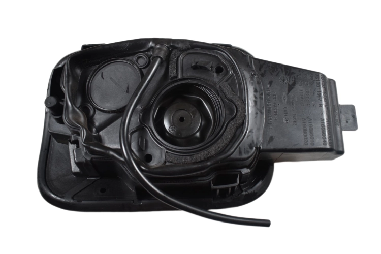 DSC_0021 (1).png