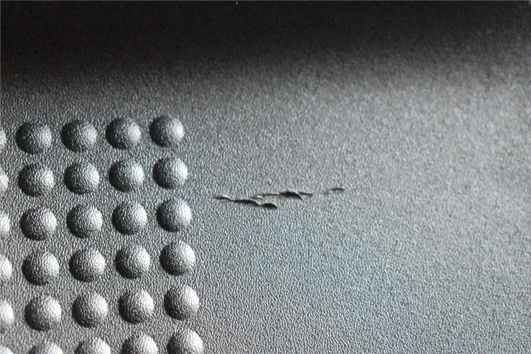 DSC_0019 (20).png