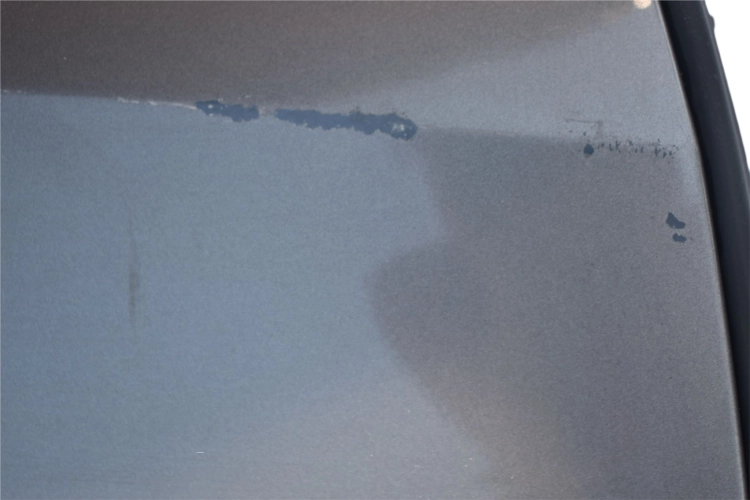 DSC_0033.png