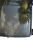 DSC_0028 (12).png
