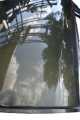 DSC_0027 (18).png