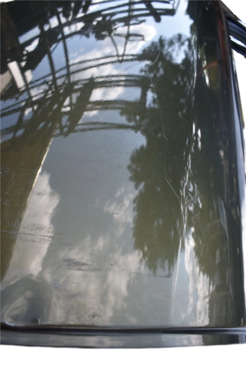 DSC_0027 (18).png