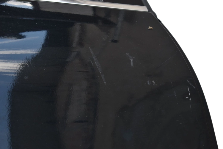 DSC_0024 (39).png