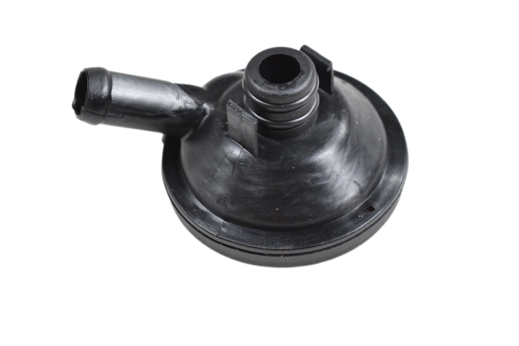 DSC_0020 (55).png