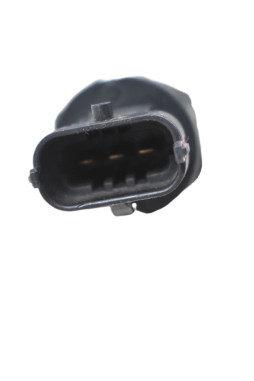 DSC_0026 (37).png
