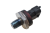 DSC_0022 (74).png