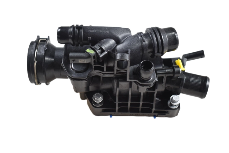 DSC_0020 (59).png