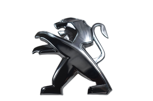 DSC_0019 (66).png
