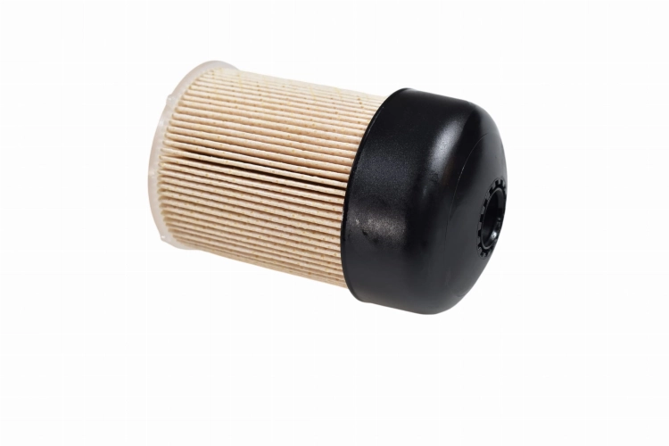 DSC_0039(2).jpg