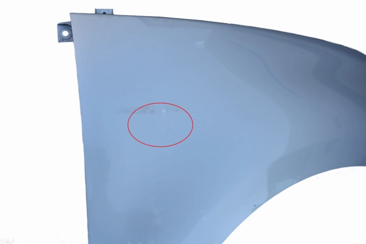 DSC_0113(1).jpg