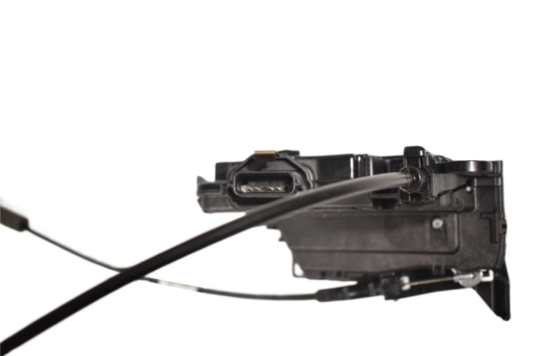 DSC_0007 (69).png